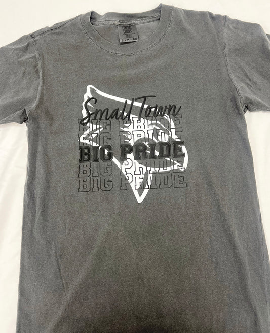 Small Town Big Pride Tee